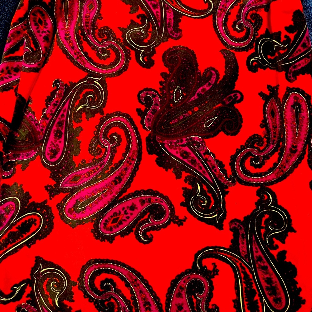 Talbots crushed velvet paisley skirt.
